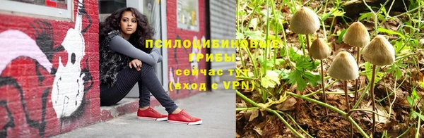 твердый Балахна